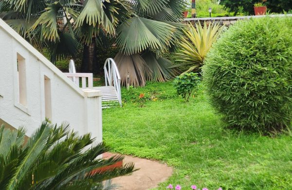Main Bungalow (9)-min